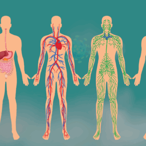 أجهزة جسم الإنسان