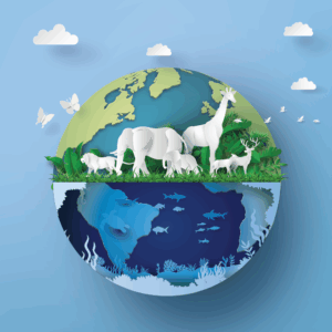 تنوع الكائنات الحية وتصنيفها