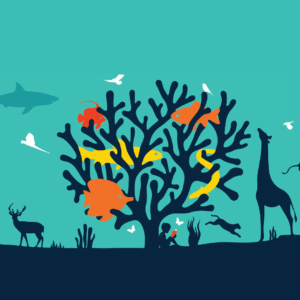 خصائص الكائنات الحية