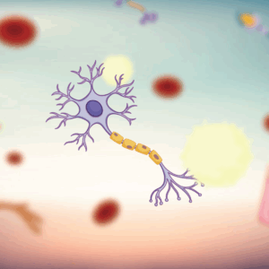 الخلية والحياة