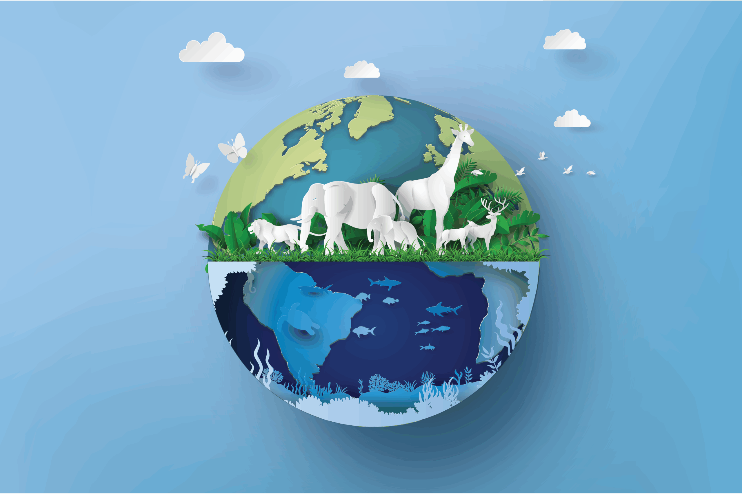 تنوع الكائنات الحية وتصنيفها